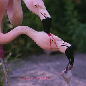 輸入盤 WITHOUT WAVES / COMEDIAN [CD]