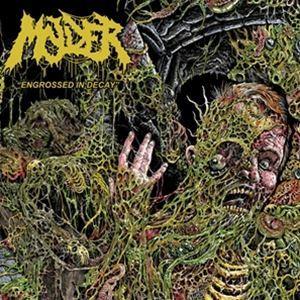 輸入盤 MOLDER / ENGROSSED IN DECAY [CD]