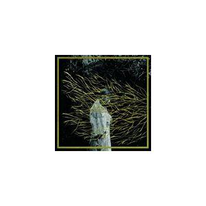 輸入盤 FOREST SWORDS / ENGRAVINGS [CD]