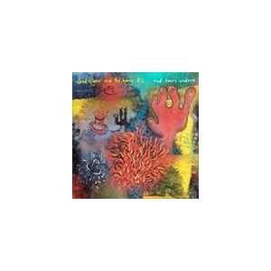 輸入盤 DAVID KILGOUR ＆ THE HEAVY EIGHTS / END TIMES UNDONE [CD]