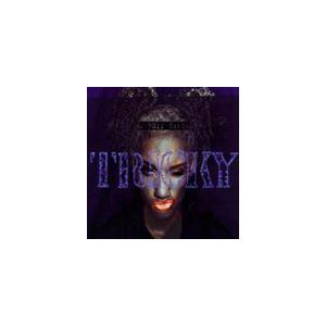輸入盤 TRICKY / RUFF GUIDE TO [CD]｜ggking