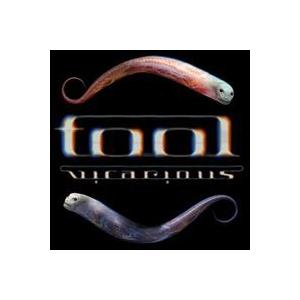 輸入盤 TOOL / VICARIOUS （DVD SINGLE） [DVD]
