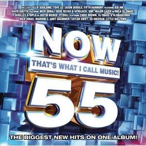 輸入盤 VARIOUS / NOW 55 ： THAT’S WHAT I CALL MUSIC ! ...