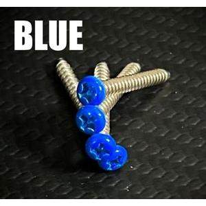 ステンレスカラータッピングビス（ファイターネクスジェン用）ブルー RP-24BL RCパーツ