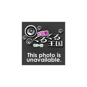 輸入盤 MR. BIG / BIG FINISH LIVE [2MQA-CD]