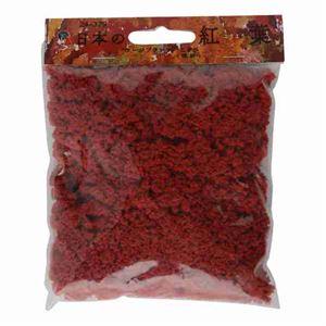 日本の紅葉ラージプランツ ブッシュ こきひ(深緋) 24-379 Nゲージ