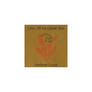 輸入盤 GRAHAM COXON / CROW SIT ON BLOOD TREE （REISSU ...