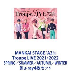 MANKAI STAGE『A3!』Troupe LIVE 2021・2022 SPRING／SUMM...