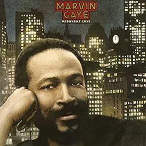 輸入盤 MARVIN GAYE / MIDNIGHT LOVE [2CD]