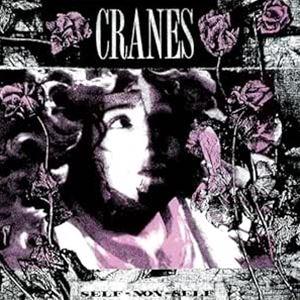 輸入盤 CRANES / SELF-NON-SELF （BLACK ＆ WHITE MARBLED）...
