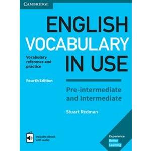 English Vocabulary in Use Pre-intermediate and Int...