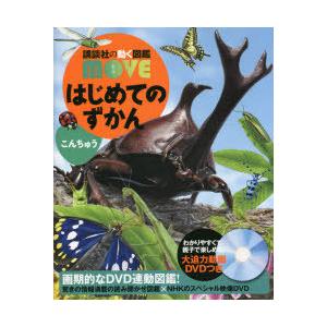 はじめてのずかんこんちゅう