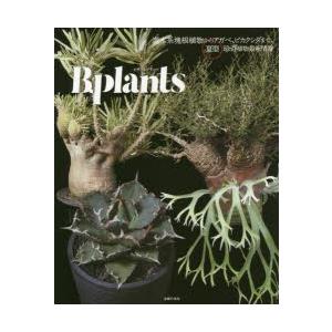 ビザールプランツ 灌木系塊根植物からアガベ、ビカクシダまで、夏型珍奇植物最新情報