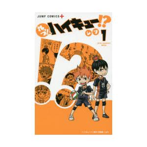 新品 / ハイキュー！！セイシュンメイカン！！TVアニメ公式ガイド