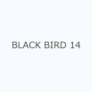 BLACK BIRD 14｜ggking