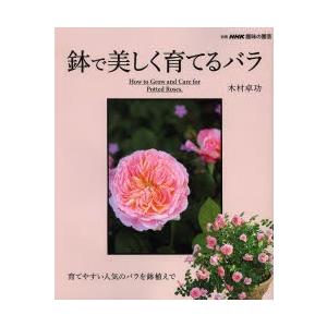 鉢で美しく育てるバラ 育てやすい人気のバラを鉢植えで