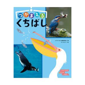 いろいろなとりのくちばし 〔3〕