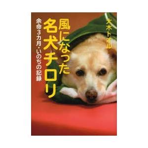 風になった名犬チロリ 余命3カ月・いのちの記録