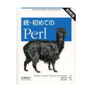 初めてのPerl 続｜ggking