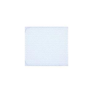 上木彩矢 / THE FINAL JOURNEY（初回生産限定盤／2CD＋DVD） [CD]