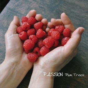 Plum Trees / PASSION [CD]｜ggking