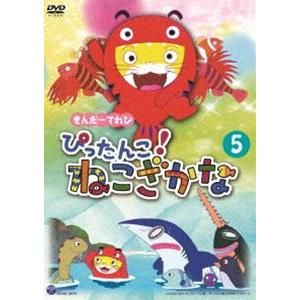 きんだーてれび ぴったんこ!ねこざかな（5） [DVD]