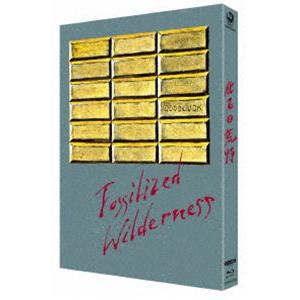 化石の荒野 4Kデジタル修復 Ultra HD Blu-ray【HDR版】（4K Ultra HD ...