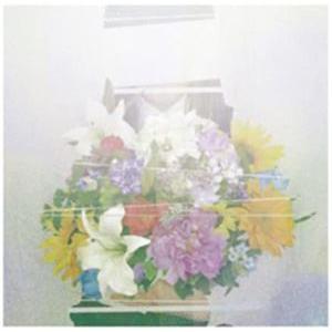 ヨルシカ / 夏草が邪魔をする [CD] : ぐるぐる王国2号館 ヤフー店