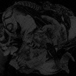 ENDON / MAMA [CD]
