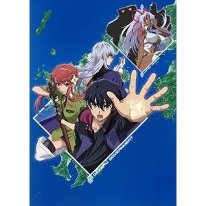 ビッグオーダー Blu-ray BOX 1 [Blu-ray]｜ggking