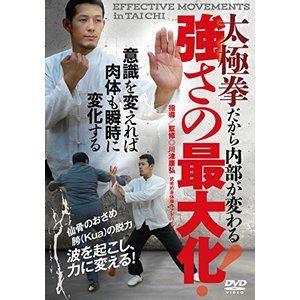 太極拳だから内部が変わる【強さの最大化】〜波を起こし、力に変換する!〜 [DVD]｜ggking