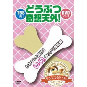 TBS発!どうぶつ奇想天外!DVDシリーズ かわいい!愉快!いぬタップリ満載編 [DVD]