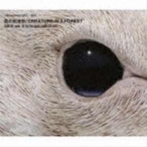 sara（.es） ＆ tatsuya nakatani（p、perc／perc） / 森の創造物 ...