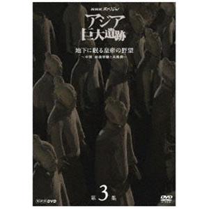 NHKスペシャル アジア巨大遺跡 第3集 地下に眠る皇帝の野望 〜中国 始皇帝陵と兵馬俑〜 [DVD]｜ggking