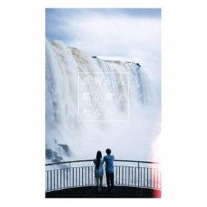 世界から猫が消えたなら Blu-ray豪華版 [Blu-ray]