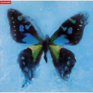 ポルノグラフィティ / アゲハ蝶 [CD]