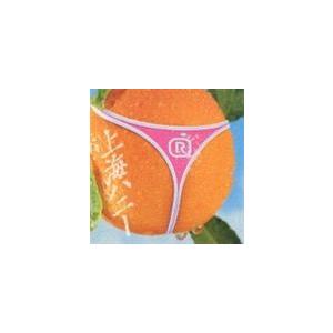 ORANGE RANGE / 上海ハニー [CD]