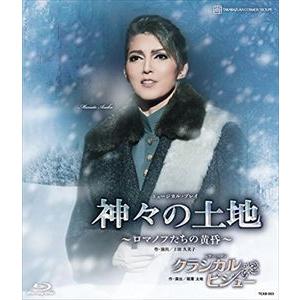 宙組宝塚大劇場公演 ミュージカル・プレイ 『神々...の商品画像