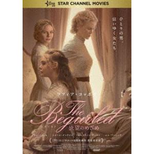 The Beguiled ビガイルド 欲望のめざめ DVD [DVD]