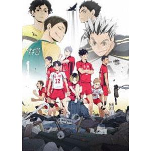 OVA『ハイキュー!! 陸 VS 空』 [DVD]