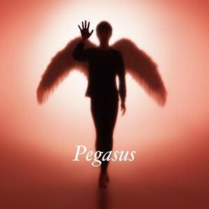 布袋寅泰 / Pegasus（通常盤） [CD]