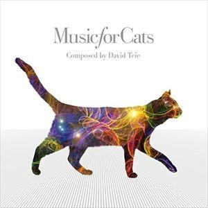 デヴィッド・タイ / ねこのための音楽 〜 Music For Cats（SHM-CD） [CD]｜ggking