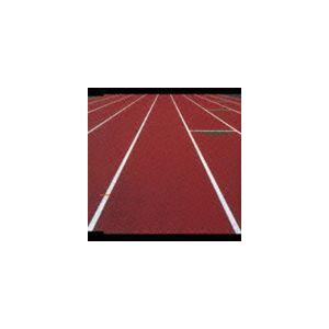 SOURCE / Potential [CD]