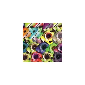 The New House / Kill The House [CD]