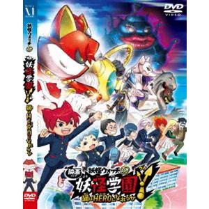 廃盤 ハルカミライ DVD ONE MAN LIVE 渋谷CLUB QUATTRO 会場限定