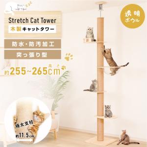 キャットタワー 木製 猫タワー 突っ張り 多頭飼い 爪とぎ 透明宇宙船  猫用品 安定性抜群 段階 猫ハウス タワー スリム ネコ 運動不足 cat-t265