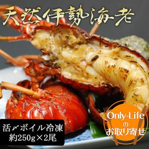 ボイルエビ ウナギ 鰻 の商品一覧 魚介類 海産物 食品 通販 Yahoo ショッピング