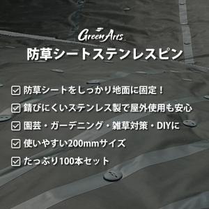 100本セット 防草シート用 固定ピン 200...の詳細画像1