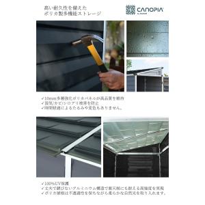 スカイライト・ペント ガーデンシェッド 大型物...の詳細画像2