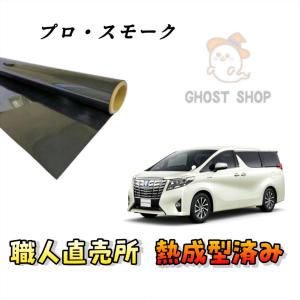 BRAINTEC（ブレインテック） オーロラ 遮熱フィルム (ピュアゴースト90